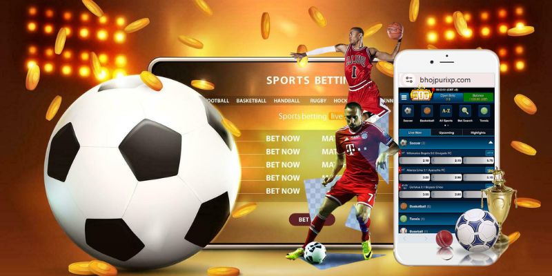 Cá cược thể thao HitClub tiện lợi trên điện thoại di động